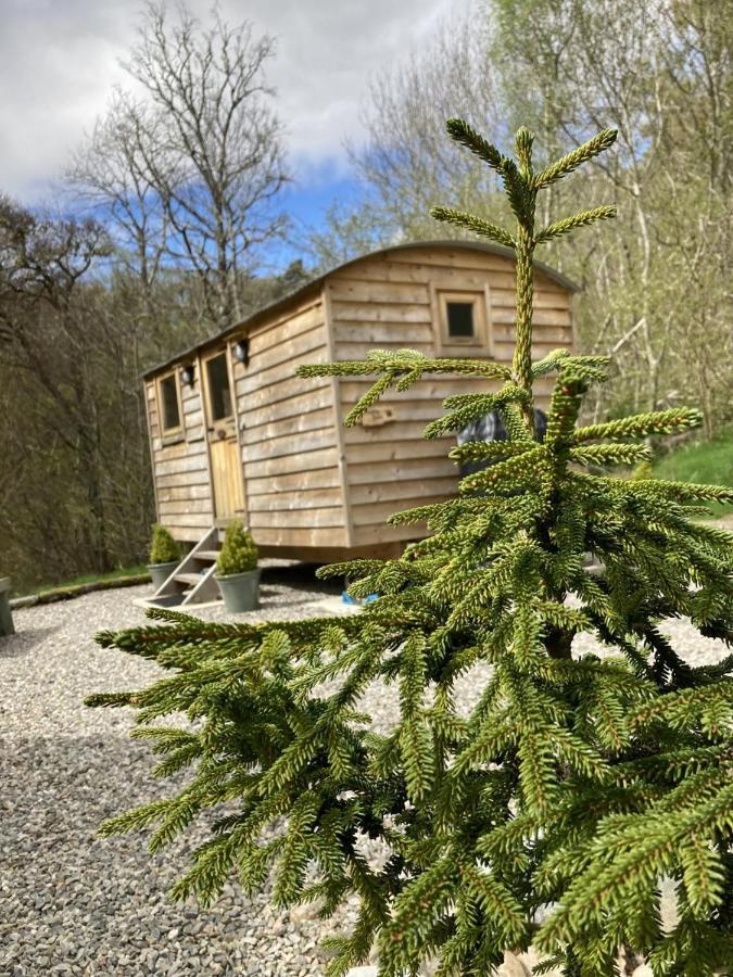 Highland Bear Lodge & Luxury Bear Huts Drumnadrochit Exterior photo