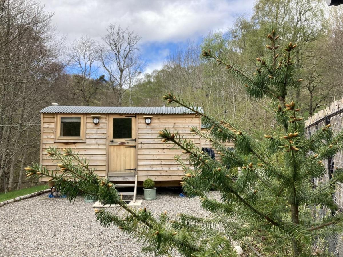 Highland Bear Lodge & Luxury Bear Huts Drumnadrochit Exterior photo