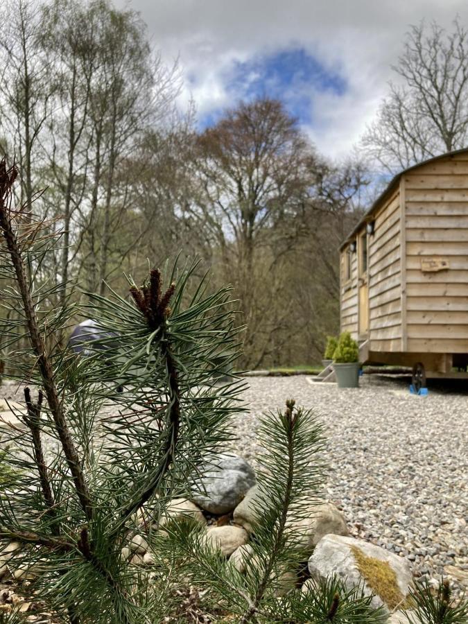 Highland Bear Lodge & Luxury Bear Huts Drumnadrochit Exterior photo