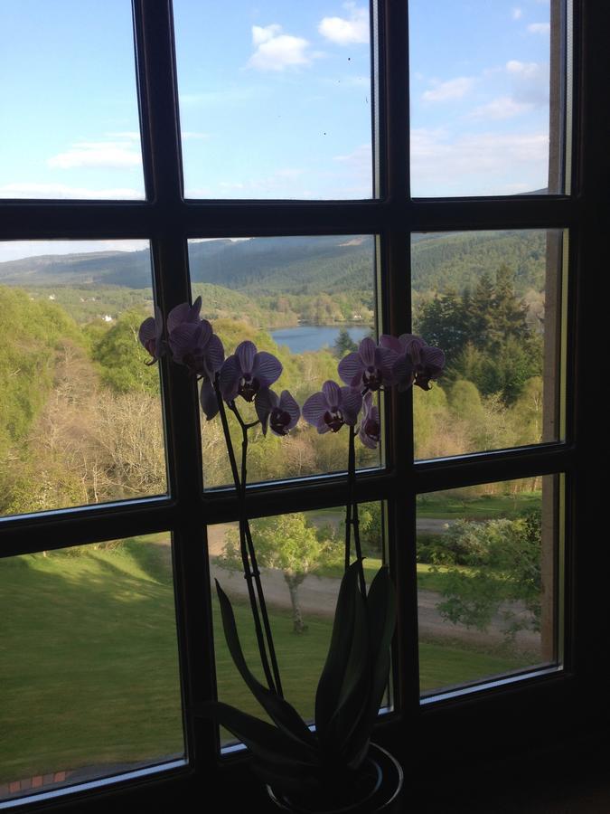 Highland Bear Lodge & Luxury Bear Huts Drumnadrochit Exterior photo